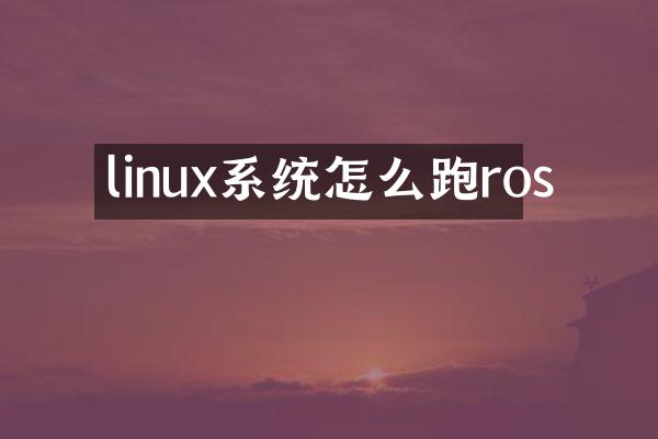 linux系统怎么跑ros