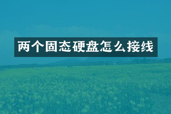 两个固态硬盘怎么接线