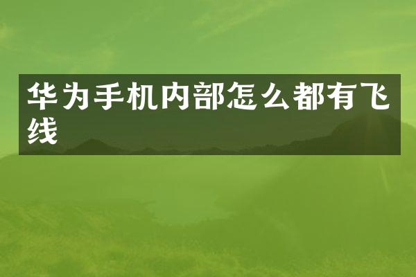 华为手机内部怎么都有飞线