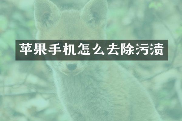 苹果手机怎么去除污渍