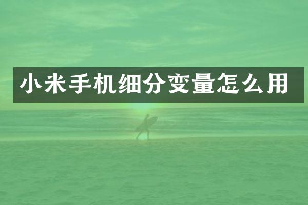 小米手机细分变量怎么用
