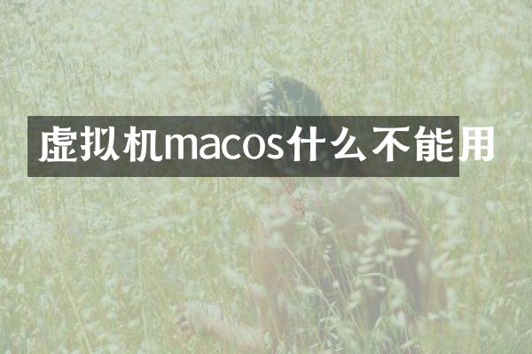 虚拟机macos什么不能用