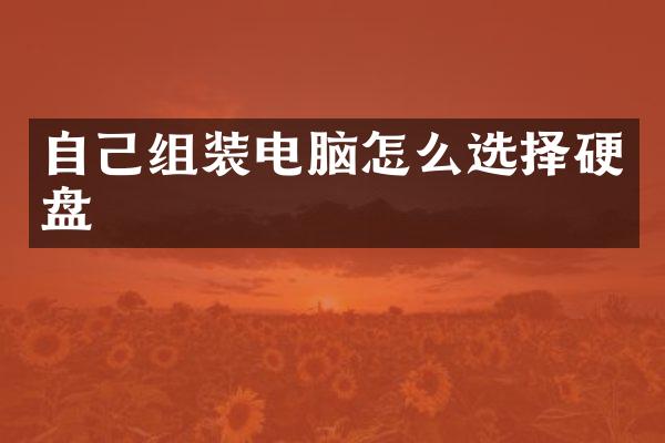 自己组装电脑怎么选择硬盘