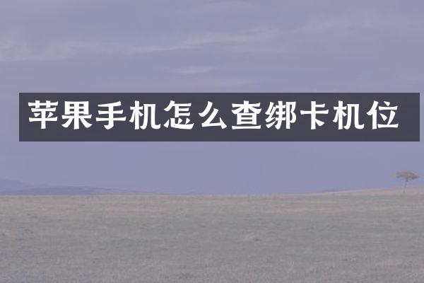 苹果手机怎么查绑卡机位
