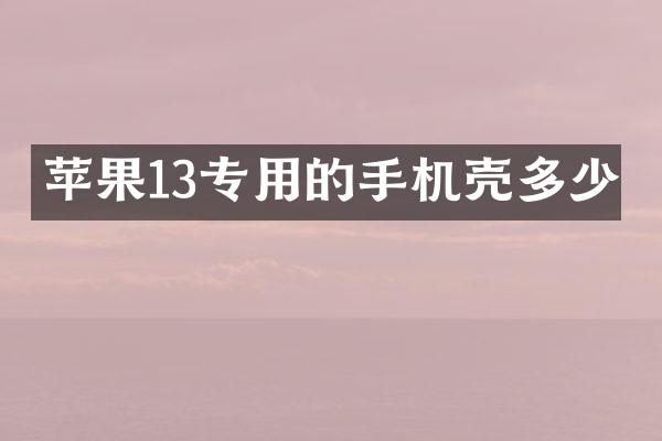 苹果13专用的手机壳多少