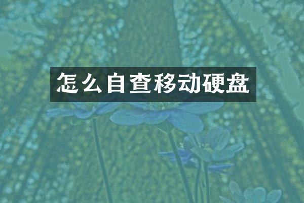 怎么自查移动硬盘