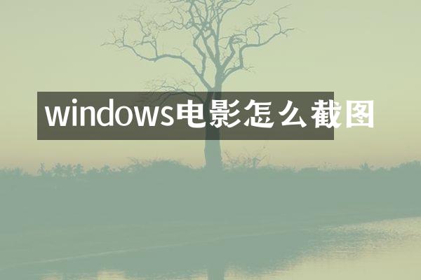 windows电影怎么截图