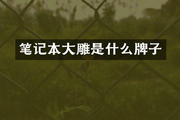 笔记本大雕是什么牌子