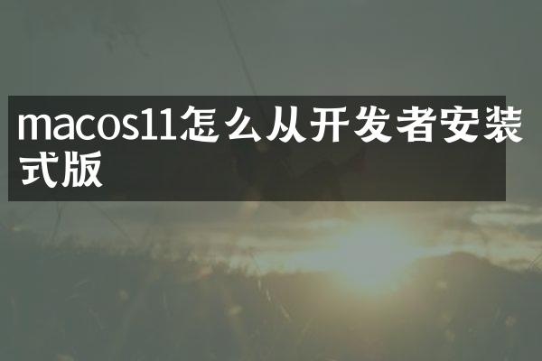 macos11怎么从开发者安装正式版