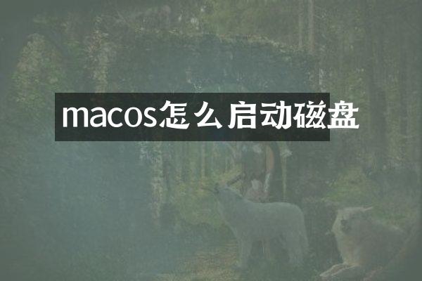macos怎么启动磁盘