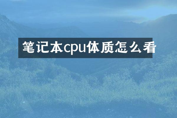 笔记本cpu体质怎么看