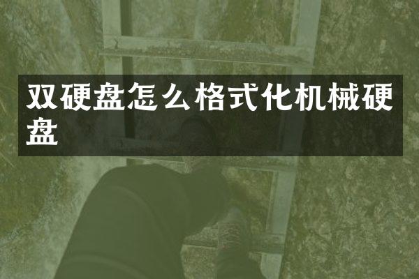 双硬盘怎么格式化机械硬盘