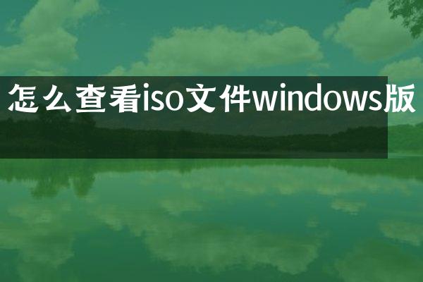 怎么查看iso文件windows版本