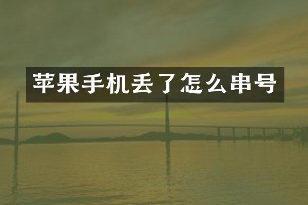 苹果手机丢了怎么串号