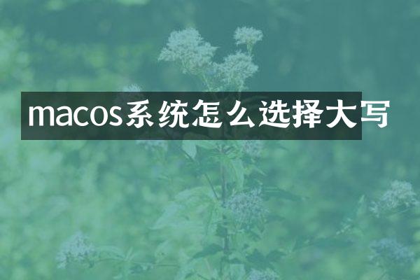 macos系统怎么选择大写