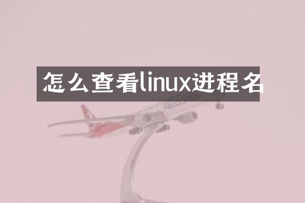 怎么查看linux进程名