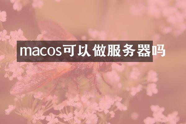 macos可以做服务器吗