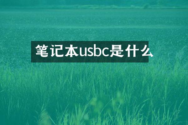 笔记本usbc是什么