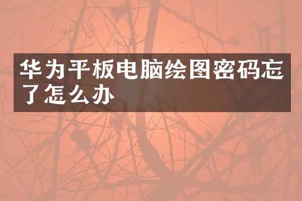 华为平板电脑绘图密码忘了怎么办
