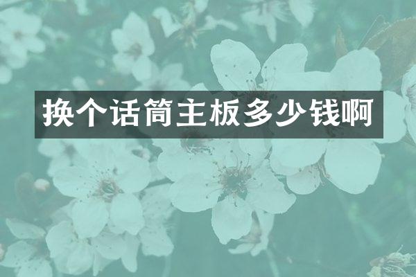 换个话筒主板多少钱啊