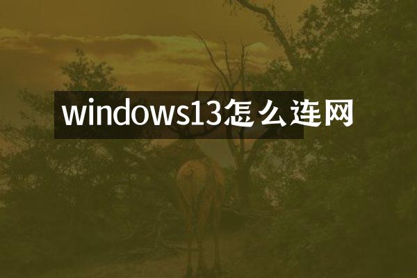 windows13怎么连网