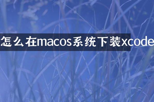 怎么在macos系统下装xcode