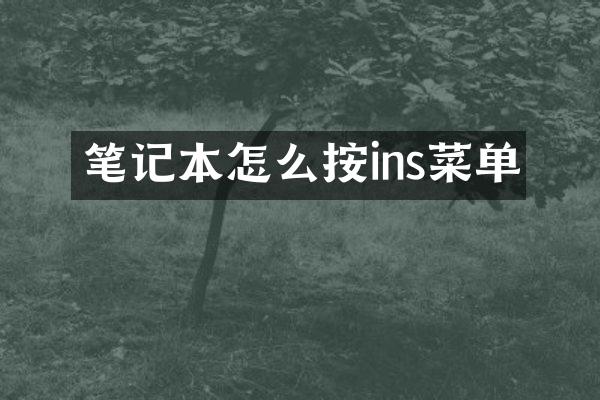 笔记本怎么按ins菜单
