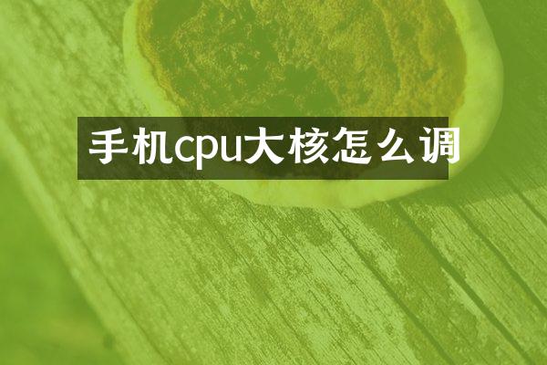 手机cpu大核怎么调