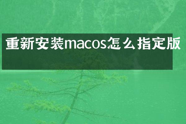 重新安装macos怎么指定版本