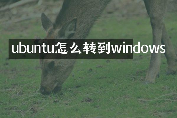 ubuntu怎么转到windows