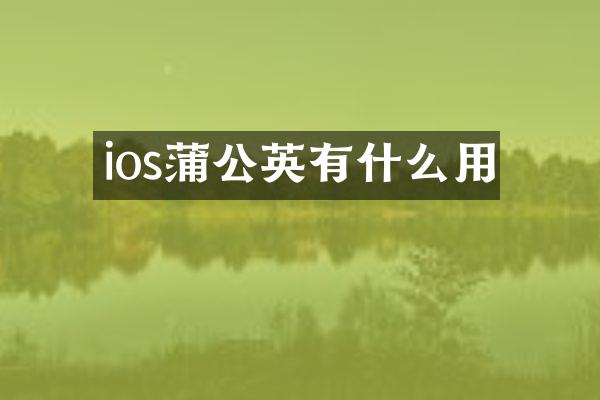 ios蒲公英有什么用