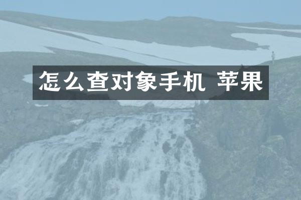 怎么查对象手机 苹果