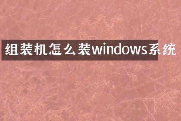 组装机怎么装windows系统