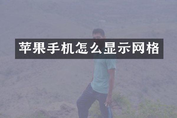 苹果手机怎么显示网格