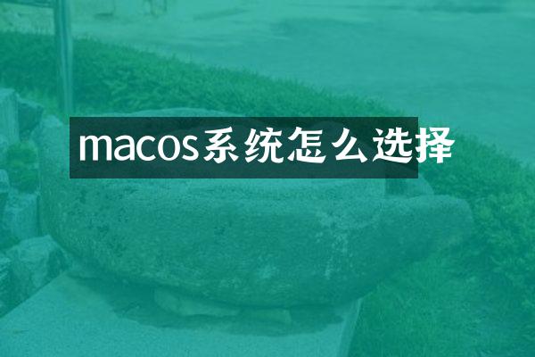 macos系统怎么选择