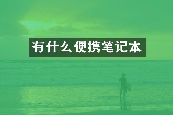 有什么便携笔记本