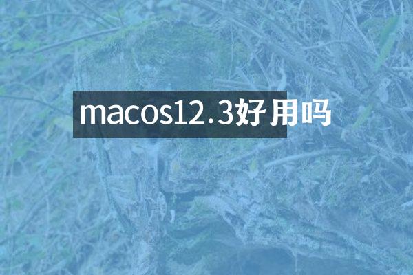 macos12.3好用吗