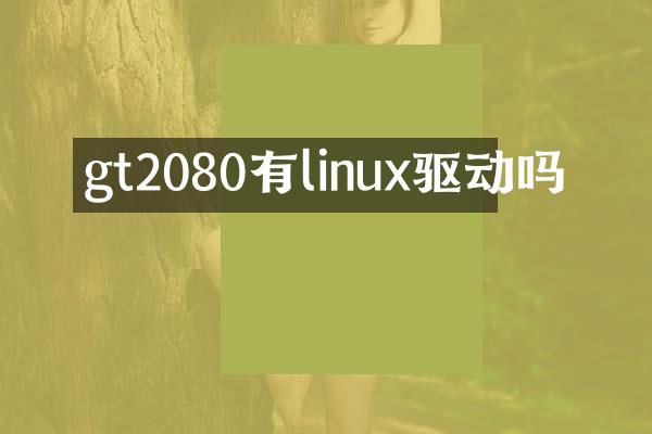 gt2080有linux驱动吗