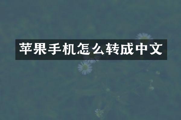 苹果手机怎么转成中文