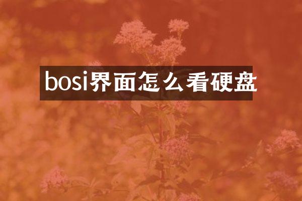 bosi界面怎么看硬盘