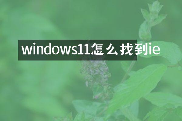 windows11怎么找到ie