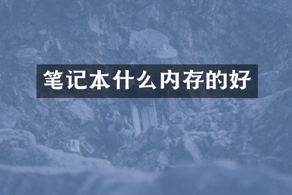 笔记本什么内存的好