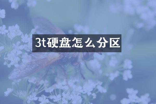 3t硬盘怎么分区