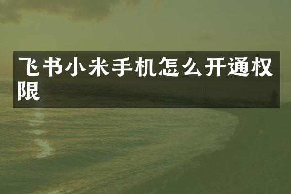 飞书小米手机怎么开通权限