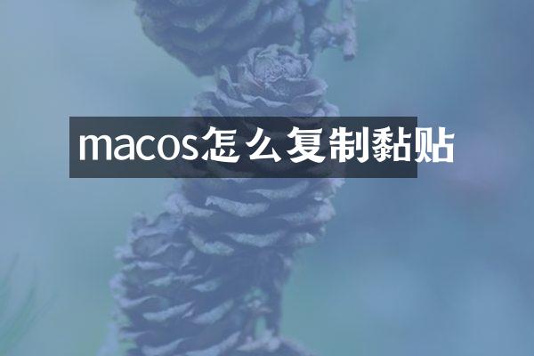 macos怎么复制黏贴