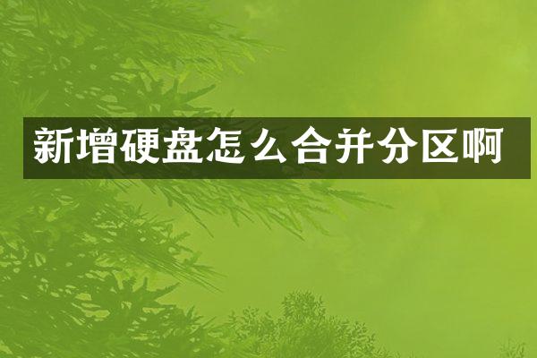 新增硬盘怎么合并分区啊