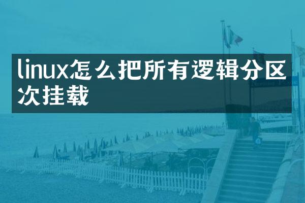linux怎么把所有逻辑分区一次挂载