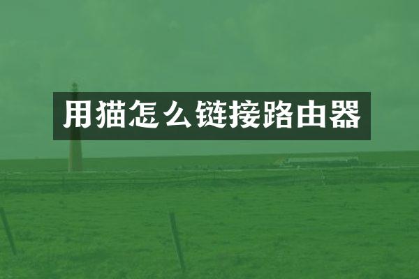 用猫怎么链接路由器
