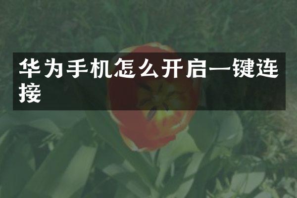华为手机怎么开启一键连接