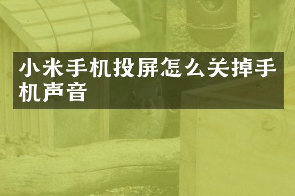 小米手机投屏怎么关掉手机声音